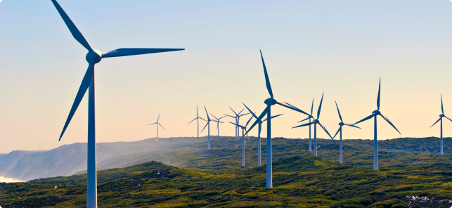 Energy-generating windmills on an open plain.
