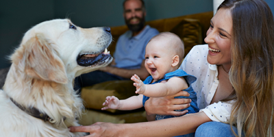 Young couple sitting in their living room with a dog and baby.
