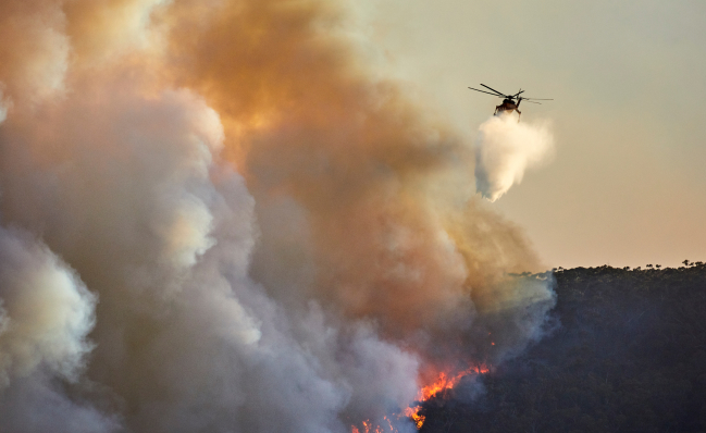 A forest in flames during a wildfire in Nevada