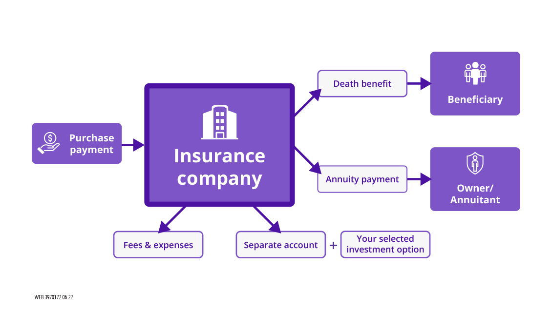 Variable annuity infographic