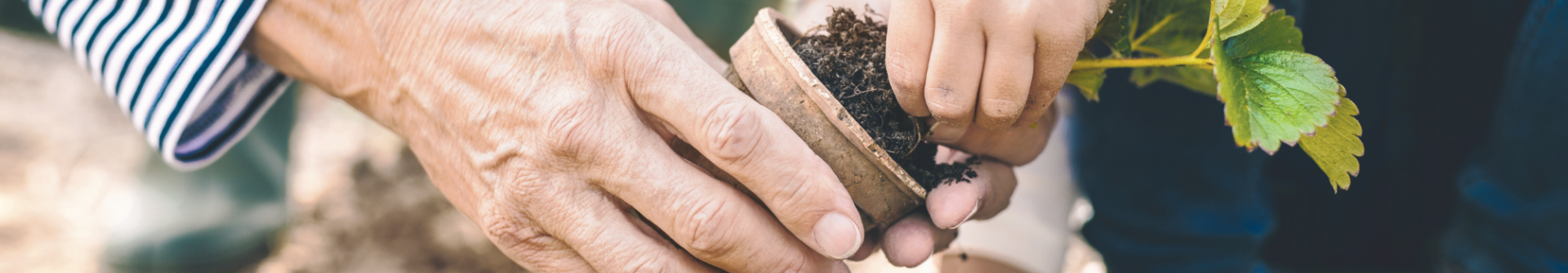 A woman gets some help from a child in the garden.