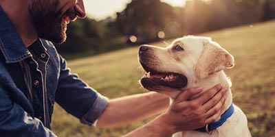 Image of a labrador retriever with a man in his 40s petting him.