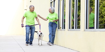 Senior couple, dressed in bright green, taking their dog for a walk
