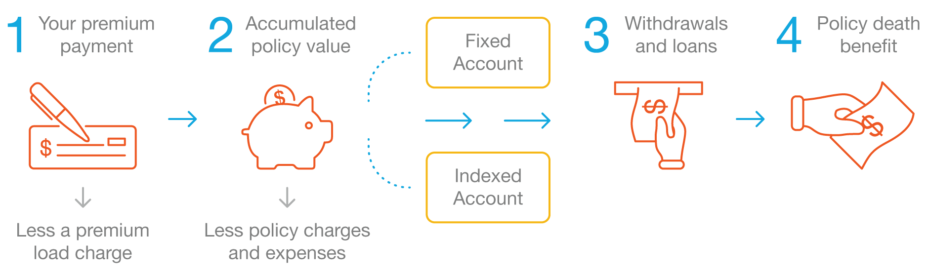 Indexed Universal Life Insurance Flow Chart