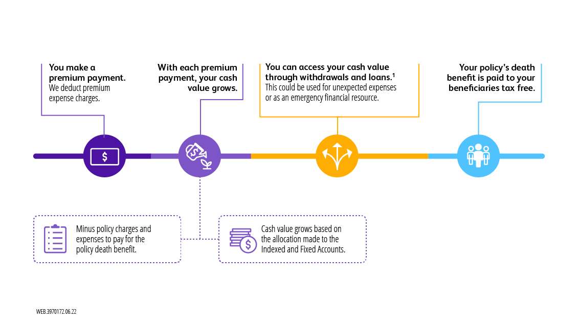 Indexed universal life infographic